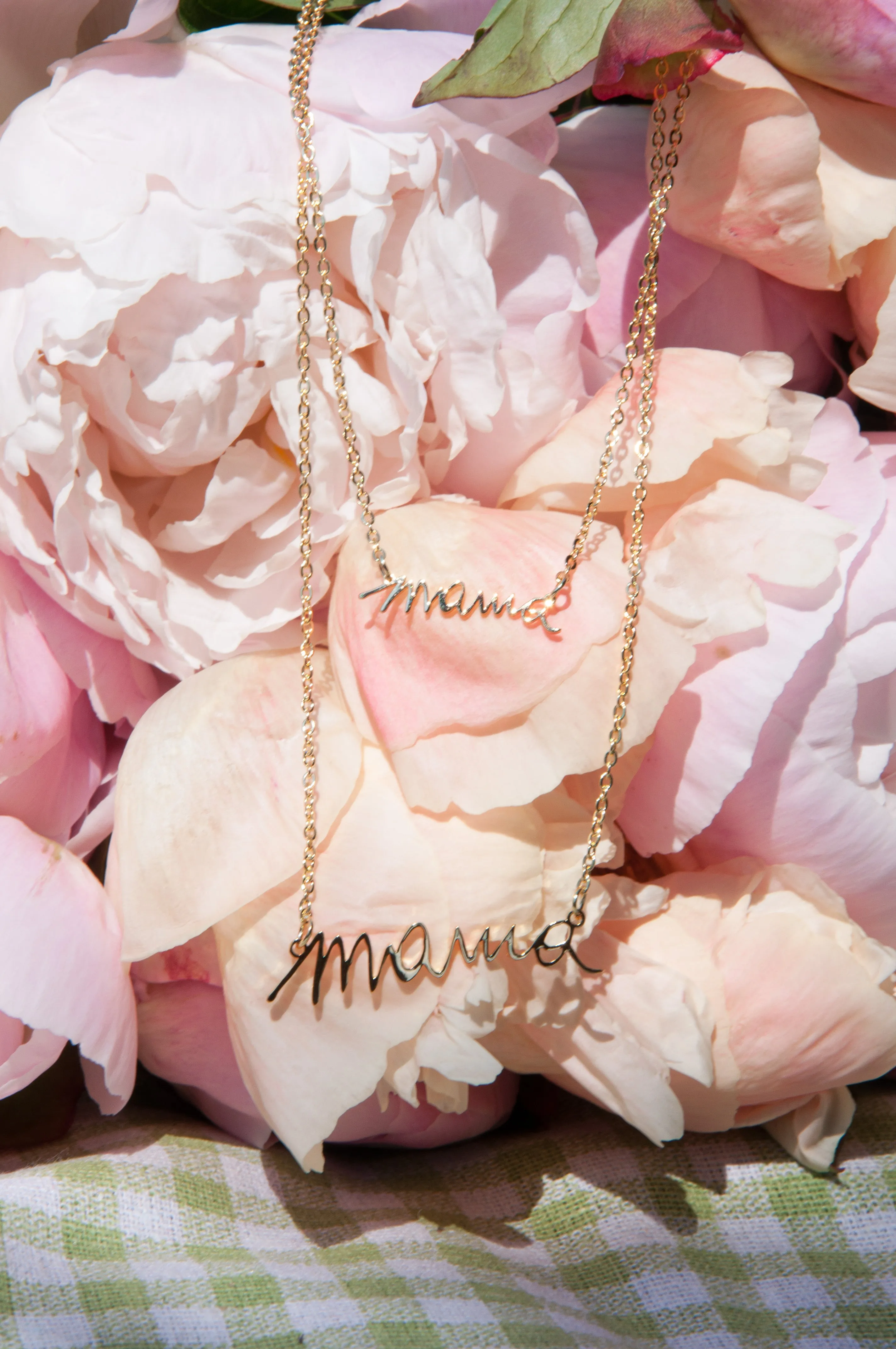 Signature Necklace