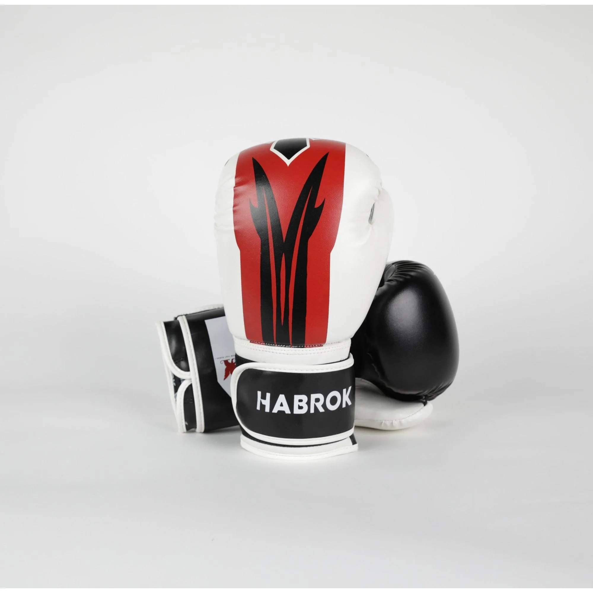 X 2.0 | Boxing Gloves